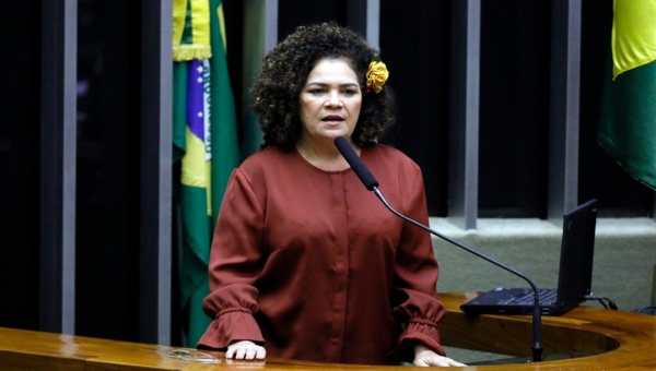 Deputada Perpétua Almeida ganha Prêmio José Bonifácio/2020