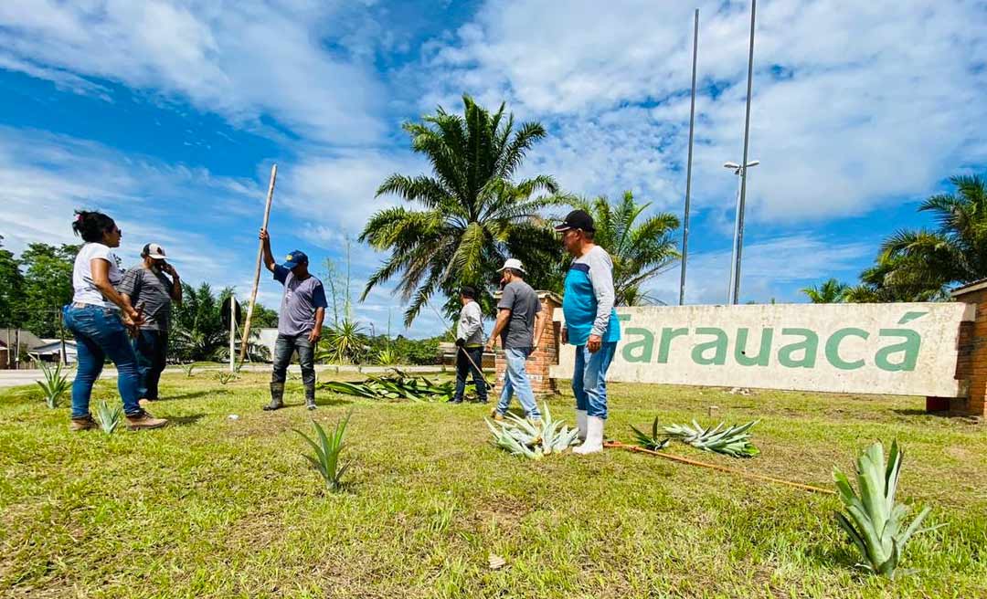 Fruto símbolo de Tarauacá, o abacaxi é usado em revitalização e deve virar cartão postal na entrada da cidade