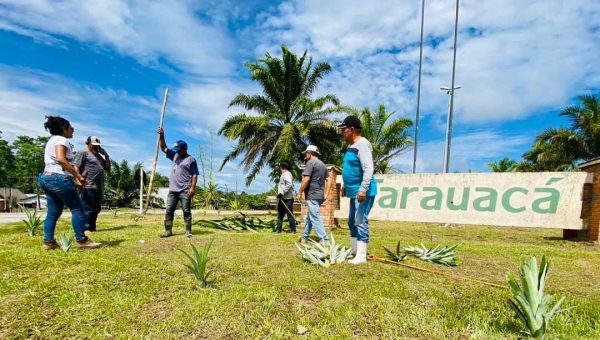 Fruto símbolo de Tarauacá, o abacaxi é usado em revitalização e deve virar cartão postal na entrada da cidade