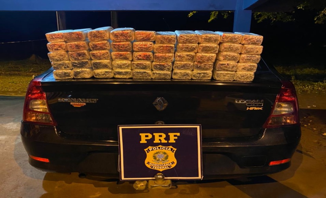 Patrulheiros da PRF apreendem quilos de cocaína escondidos em caminhão cegonha