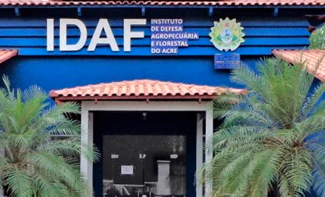 Gladson readmite médicos veterinários do Idaf, demitidos na quarta juntos com indicados de Neném