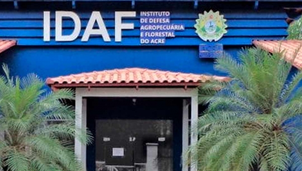 Gladson readmite médicos veterinários do Idaf, demitidos na quarta juntos com indicados de Neném