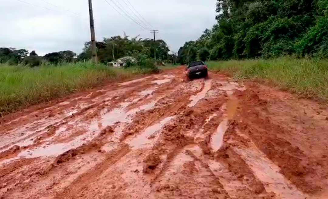 Situação do ramal que liga o final do Parque do Tucumã ao Universitário está péssima – VEJA O VÍDEO