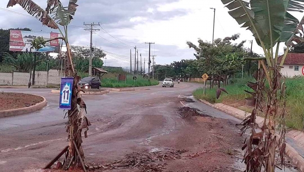 Em protesto, moradores plantam bananeira com número onze na Estrada do Calafate