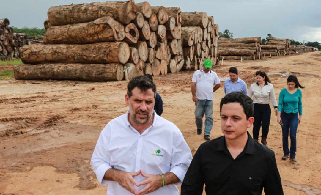 Setor Madeireiro é o carro-chefe da economia do Acre quando o assunto é exportação