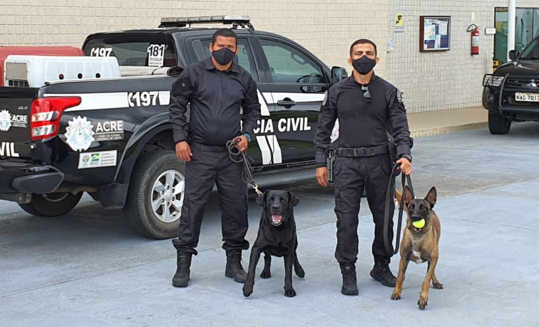 Polícia Civil adquire cão farejador para auxílio no combate ao tráfico de drogas