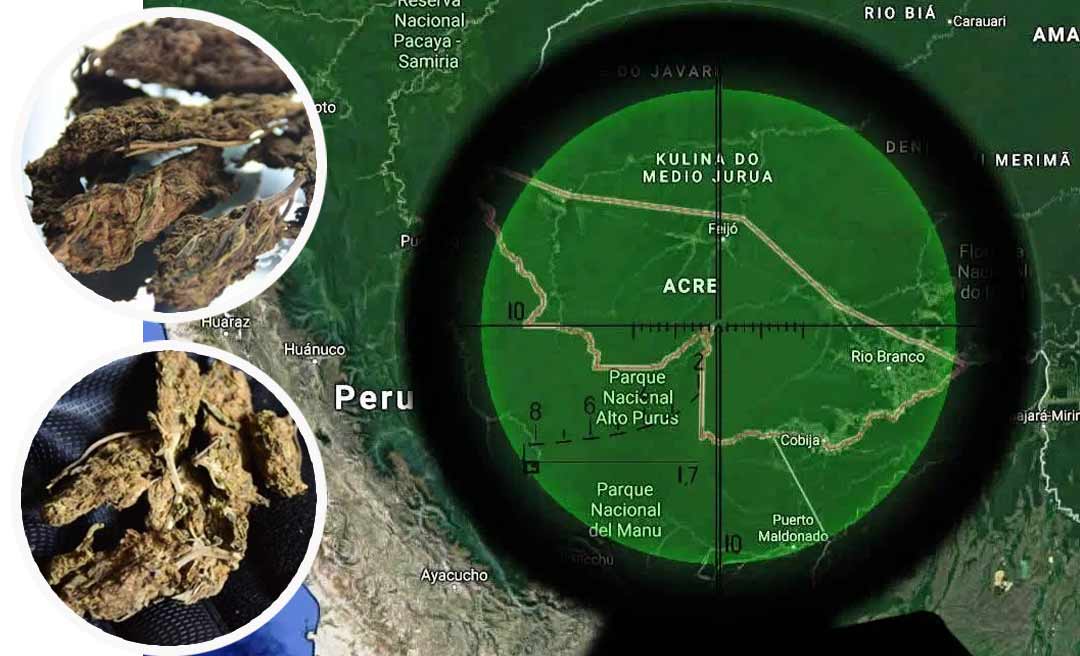 Acre virou rota da maconha ‘gourmet’ colombiana no Brasil, diz El País