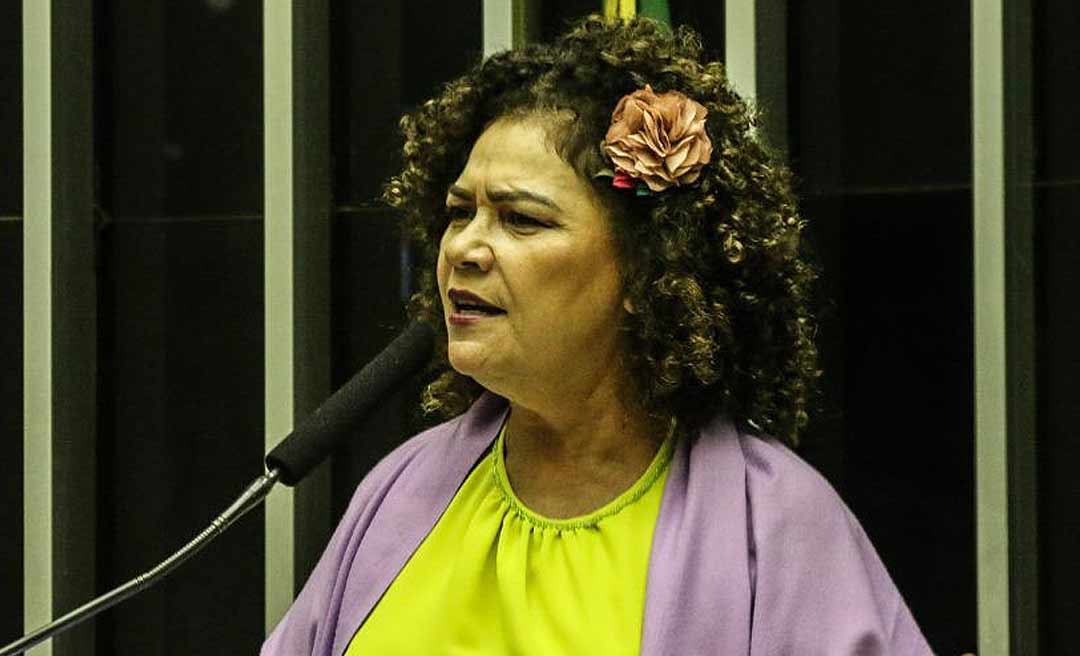 Deputada Perpétua Almeida vota contra MP que autoriza a privatização da Eletrobras