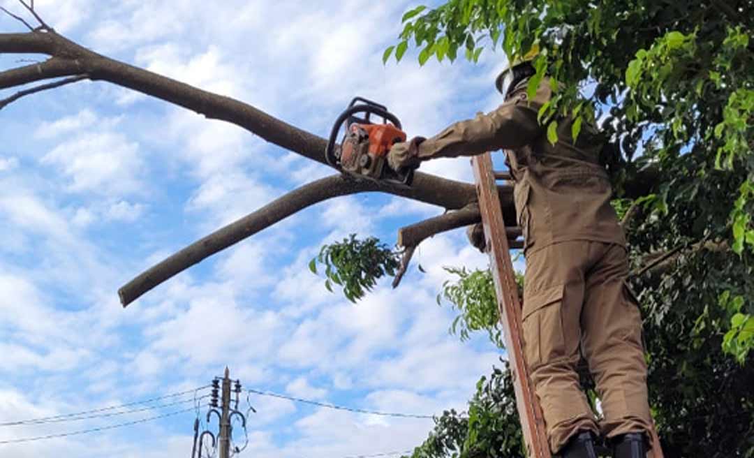 Bombeiros registram 13 ocorrências por queda de árvores em Rio Branco