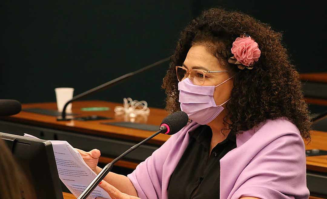 Perpétua considera ato de Bolsonaro “babaquice” ao tentar intimidar o STF e o Congresso
