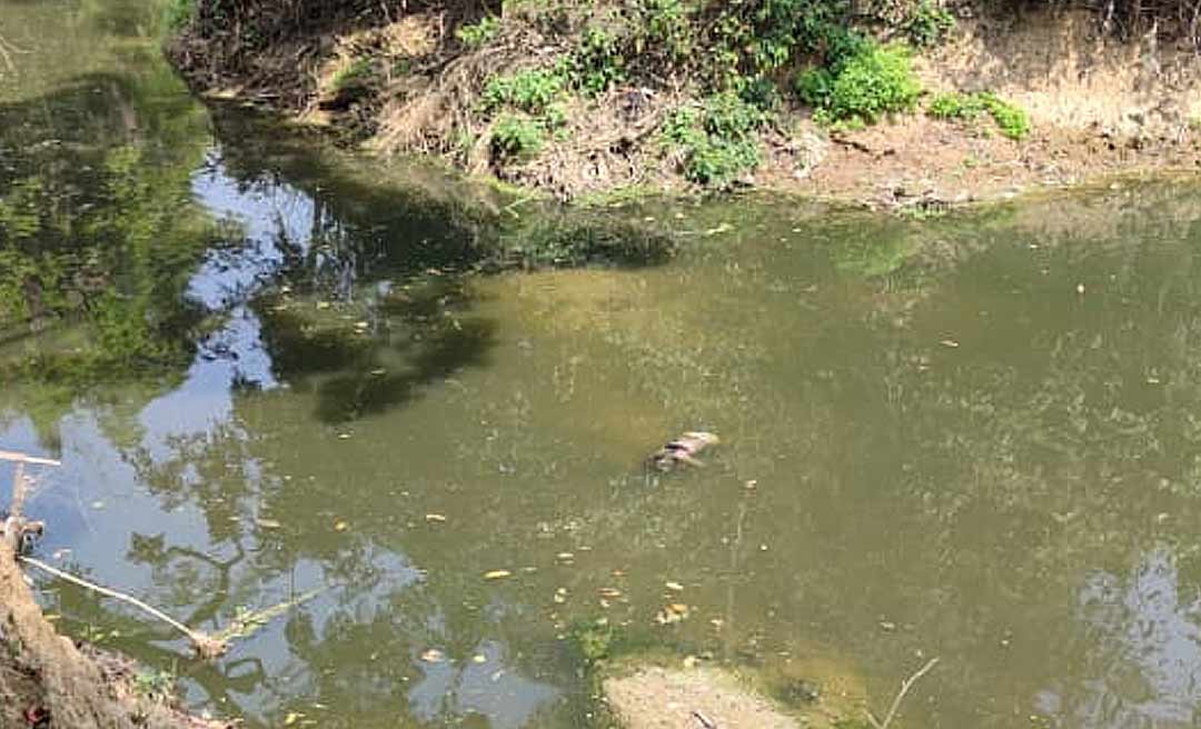 Corpo de mulher é encontrado boiando nas águas do Igarapé São Francisco