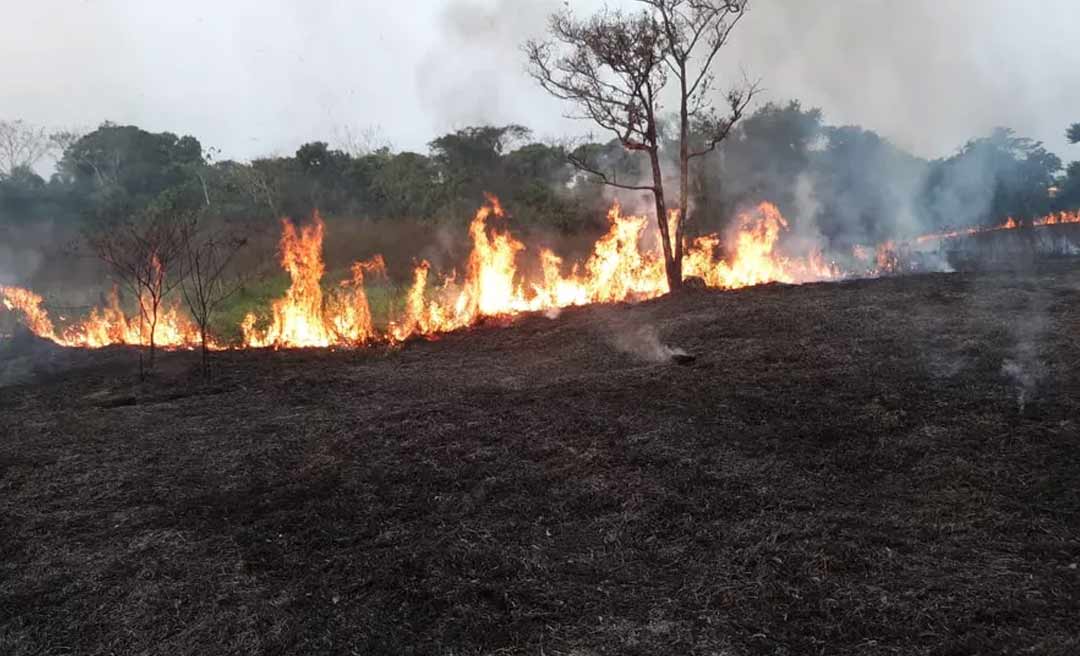 Queimadas e baixo nível das águas do rio Acre e afluentes preocupam o Município