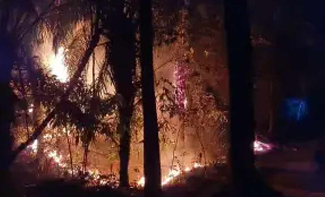 Secretário-adjunto de Meio Ambiente de Rio Branco explica incêndio próximo ao Horto