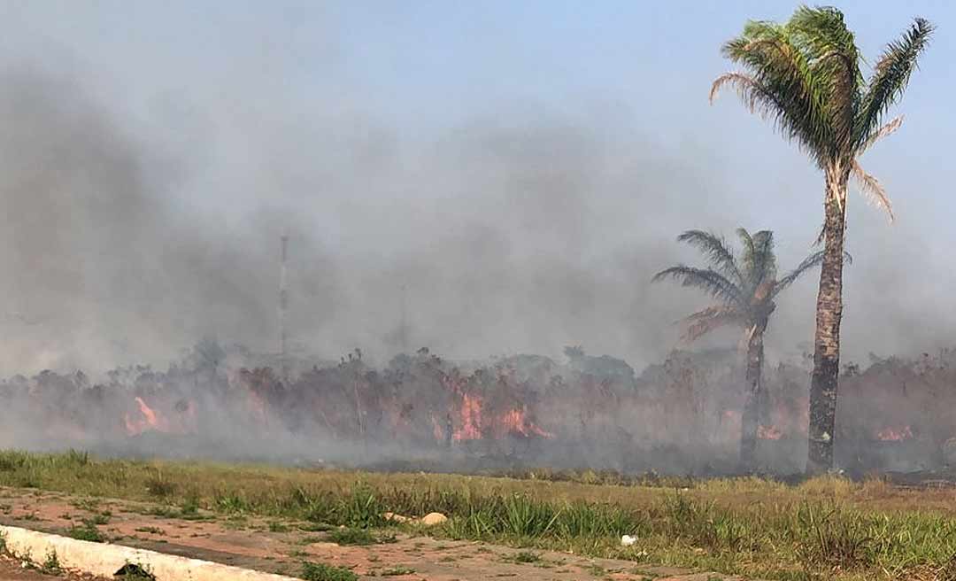 Área de mata perto da Arena da Floresta em Rio Branco pega fogo