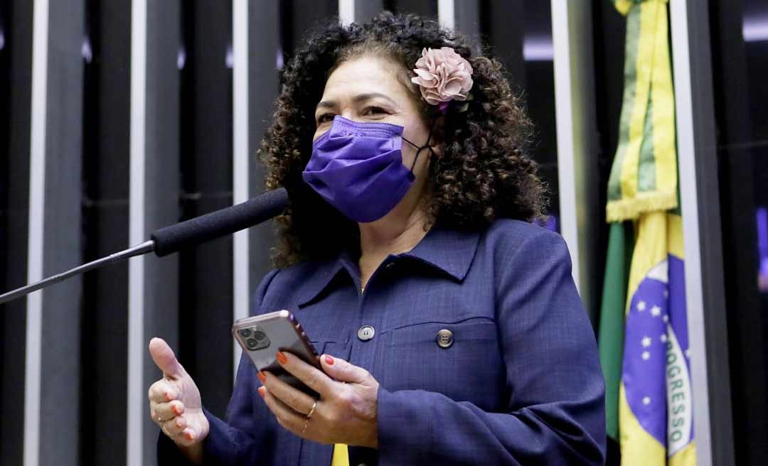 Perpétua relata PL que dá nome de Dom Moacyr a Ponte sobre o Rio Abunã