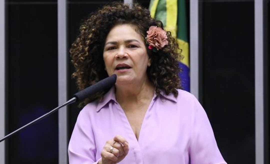 Deputada federal Perpétua aciona MPF para investigar Guedes e Campos Neto