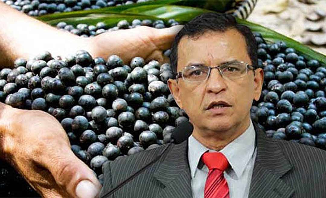 Gonzaga propõe audiência para debater incentivos para a cadeia produtiva do açaí