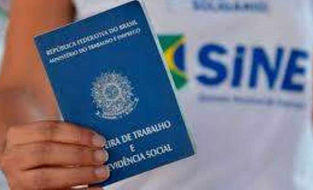Câmara aprova projeto que prioriza vaga de emprego no Sine para mulher vítima de violência