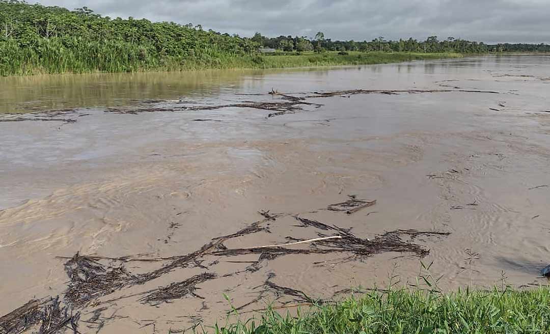 Rio Tarauacá está acima da cota de alerta e preocupa autoridades