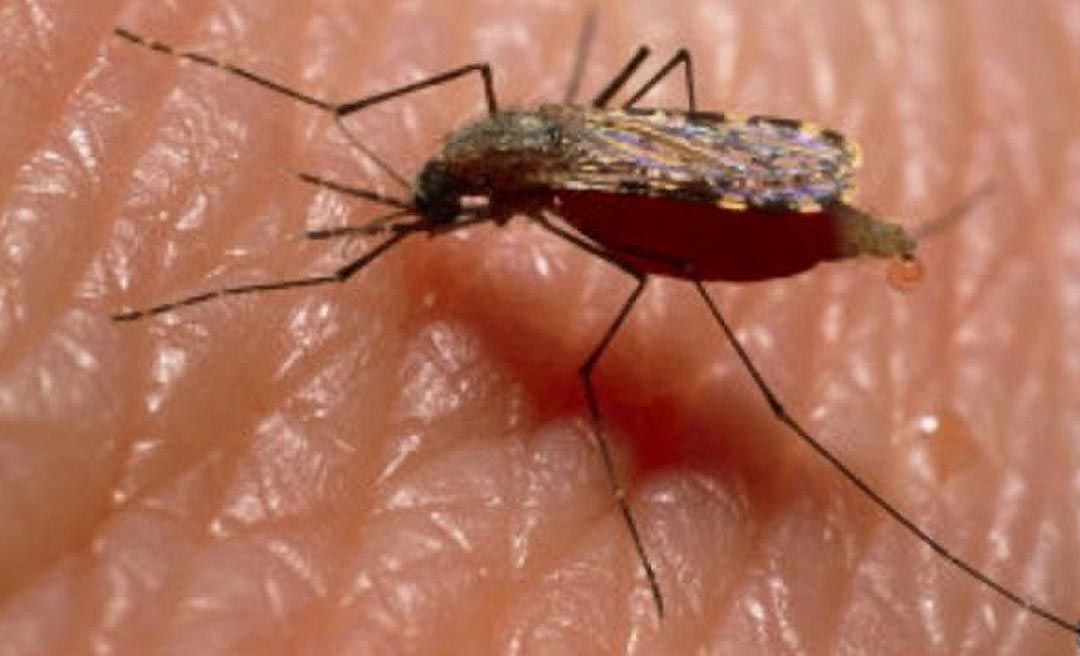 Acre registra no primeiro semestre de 2021 mais de 4 mil casos de malária