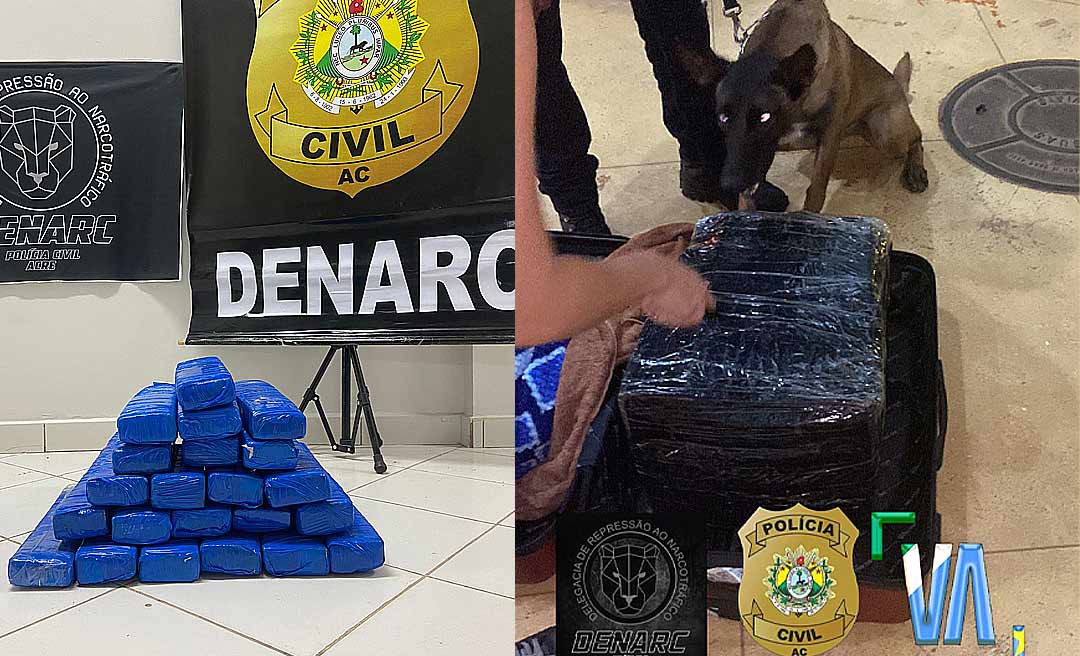 Traficante é preso com 25 quilos de maconha em ônibus que vinha de Rondônia para Rio Branco