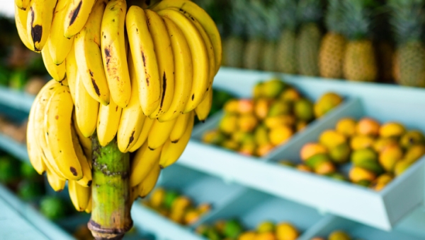 Banana fica 100% mais cara em Cruzeiro do Sul, devido exportação para outros estados