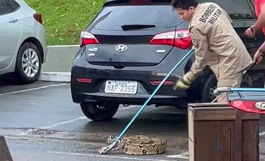 Cobra jiboia é capturada no condomínio Via Parque em Rio Branco