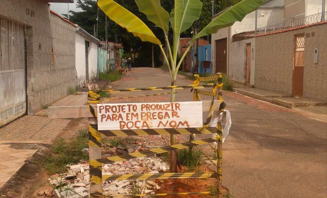 Moradores plantam bananeira em rua no Tucumã e usam slogan “produzir para empregar" em prostesto