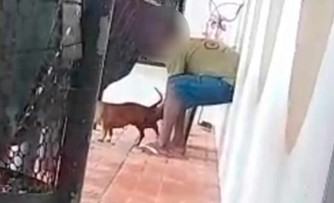 Homem é filmado cometendo zoofilia com cadela no bairro Sobral; caso vai parar na polícia