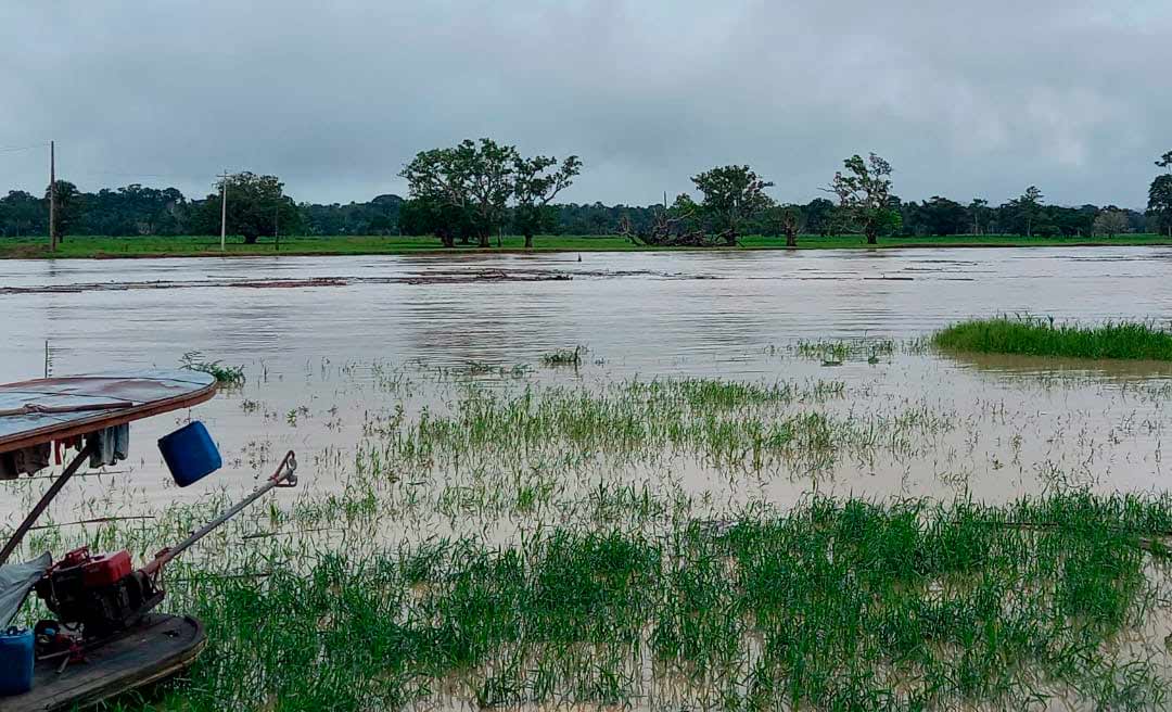 Rio Tarauacá volta a transbordar nesta segunda-feira