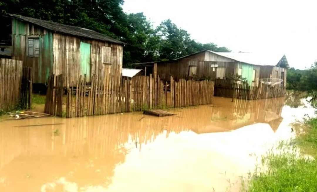 No município de Feijó, Rio Envira transborda e atinge 280 famílias