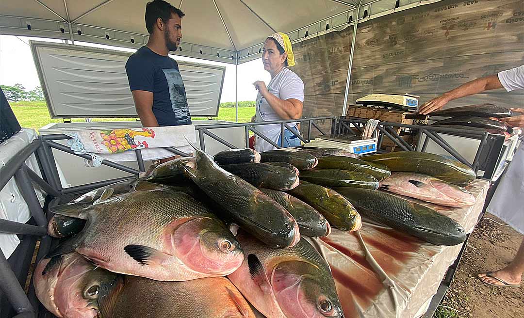 Feira do Peixe no Ceasa frustra produtores: “prejuízo e pouca venda”