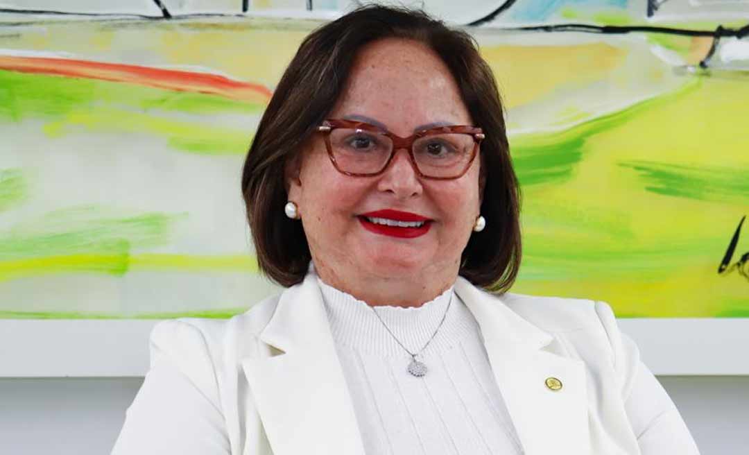 A internet é para todos, diz Vanda Milani ao votar favorável ao Programa Internet Brasil