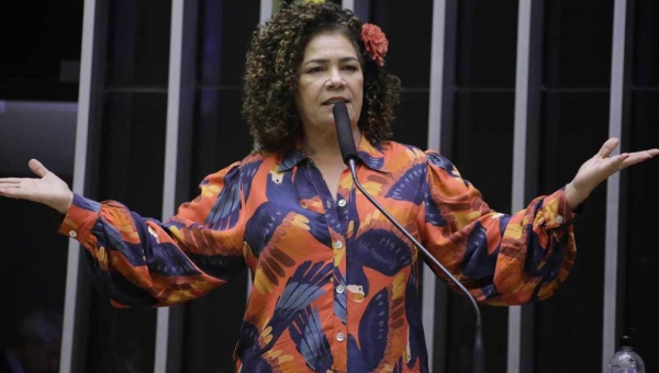 Perpétua apresenta projeto para suspender decisão da Aneel que aumentou conta de luz