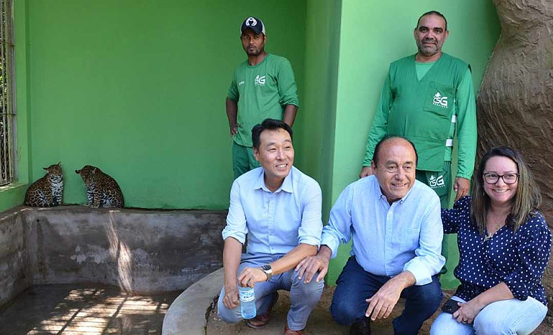 Acompanhado de Bocalom, vice-presidente da Samsung visita Parque Chico Mendes e posa com oncinhas Maiara e Maraisa