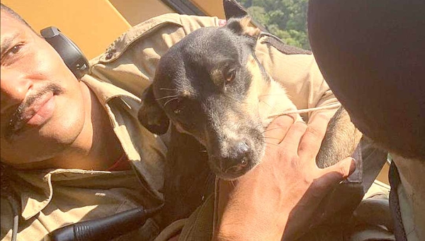 Cãozinho que ajudou no resgate a sobreviventes de queda de aeronave no Acre é transportado em helicóptero e imagem chama atenção