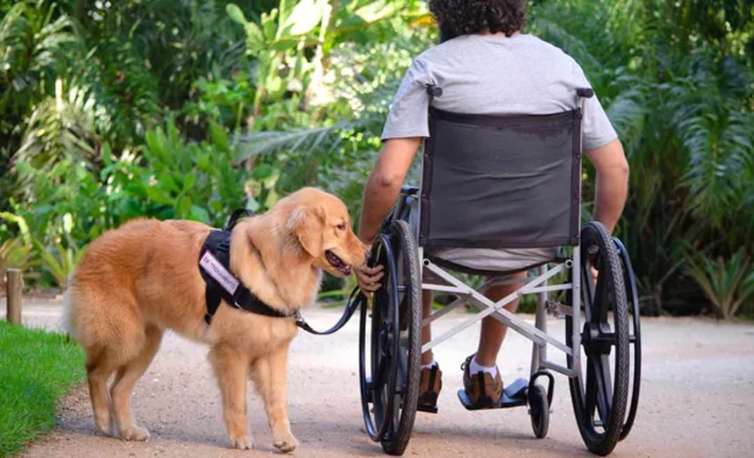 Cães de terapia ou de assistência passam a poder entrar acompanhados em locais públicos e privados no Acre