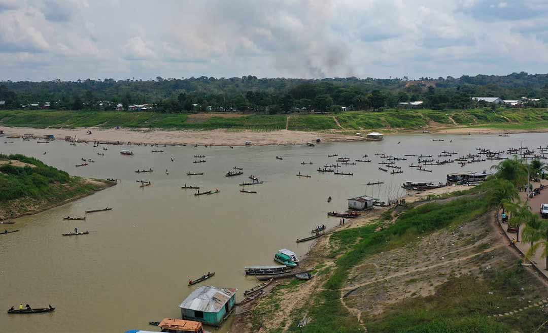 Piracema de mandi atrai centenas de pescadores ao rio Purus em Boca do Acre; veja imagens