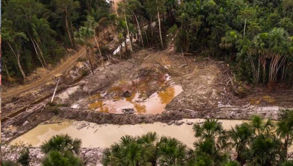 Imazon coloca Acre em 3º lugar entre os estados que mais desmataram na Amazônia em agosto