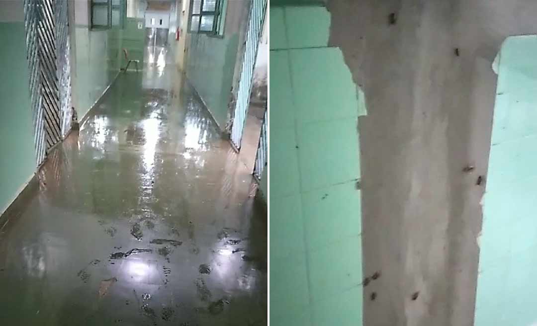 Vídeo gravado por servidora mostra baratas invadindo hospital de Feijó durante chuva