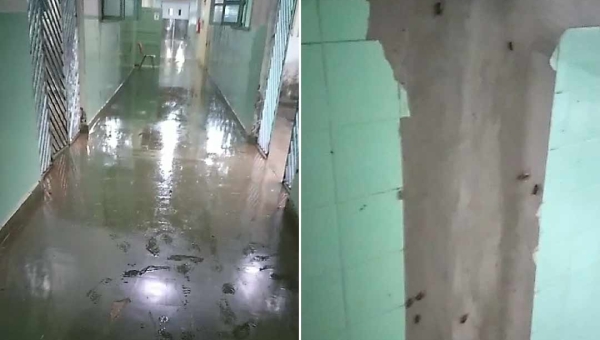 Vídeo gravado por servidora mostra baratas invadindo hospital de Feijó durante chuva