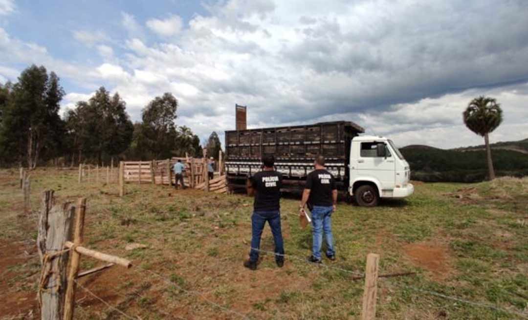 Polícia Civil investiga roubo de gado em Cruzeiro do Sul