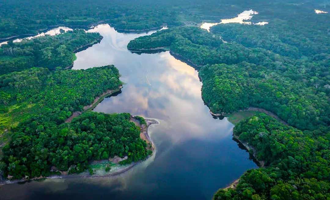 Pulitzer Center promove o curso itinerante “Amazônia no Antropoceno” no Acre