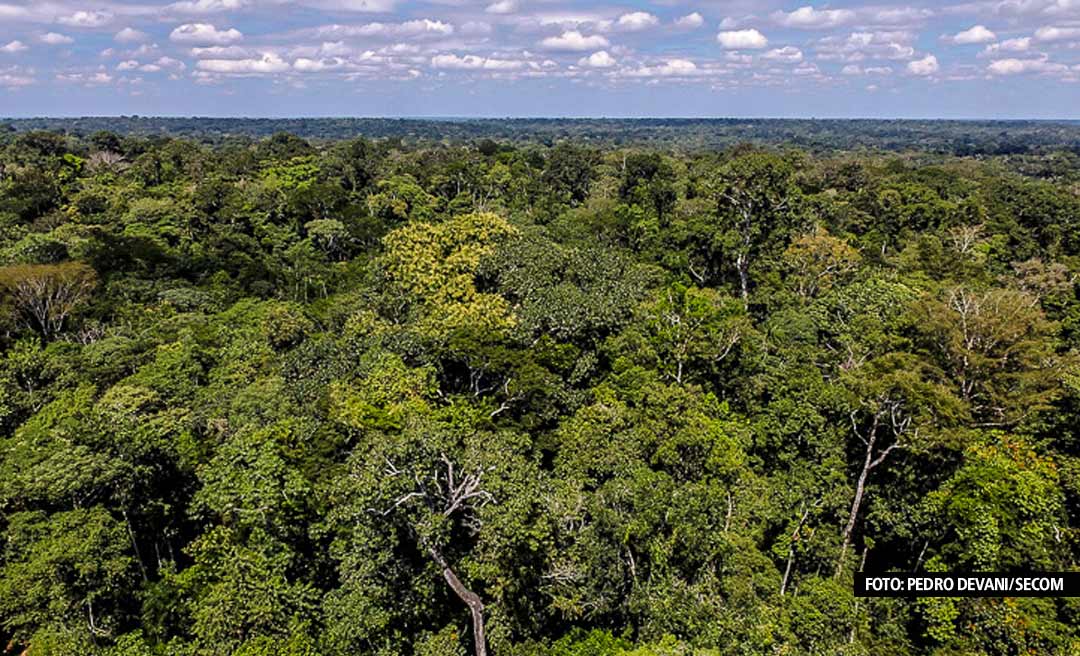 Cortado por duas rodovias federais, Acre perdeu mais de 900 km² de floresta