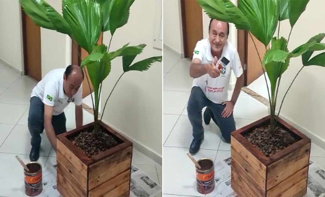 Bocalom é “flagrado” envernizando vaso de planta na prefeitura e diz: “Velhos tempos de marceneiro”