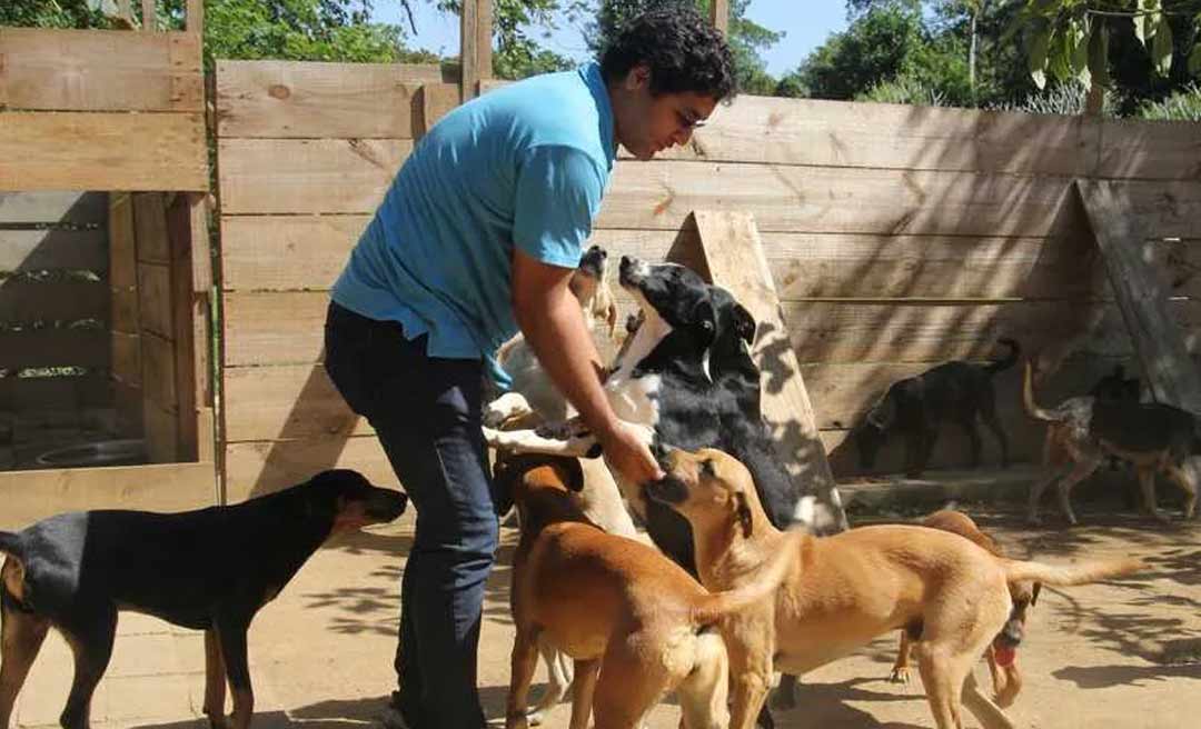 Acre passa ter em seu calendário oficial o Dia dos Cuidadores Independentes de Animais de Rua