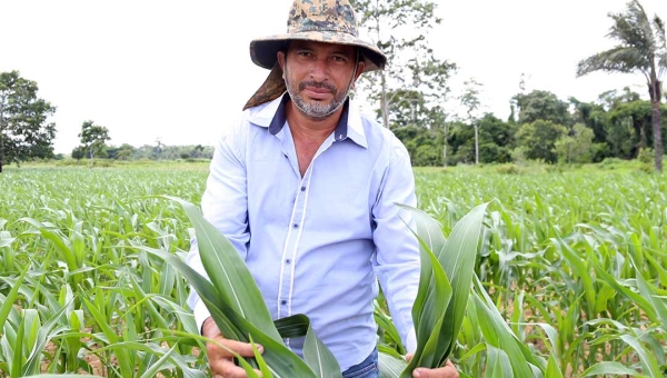 Pesquisa subsidia licenciamento ambiental agropecuário no Acre