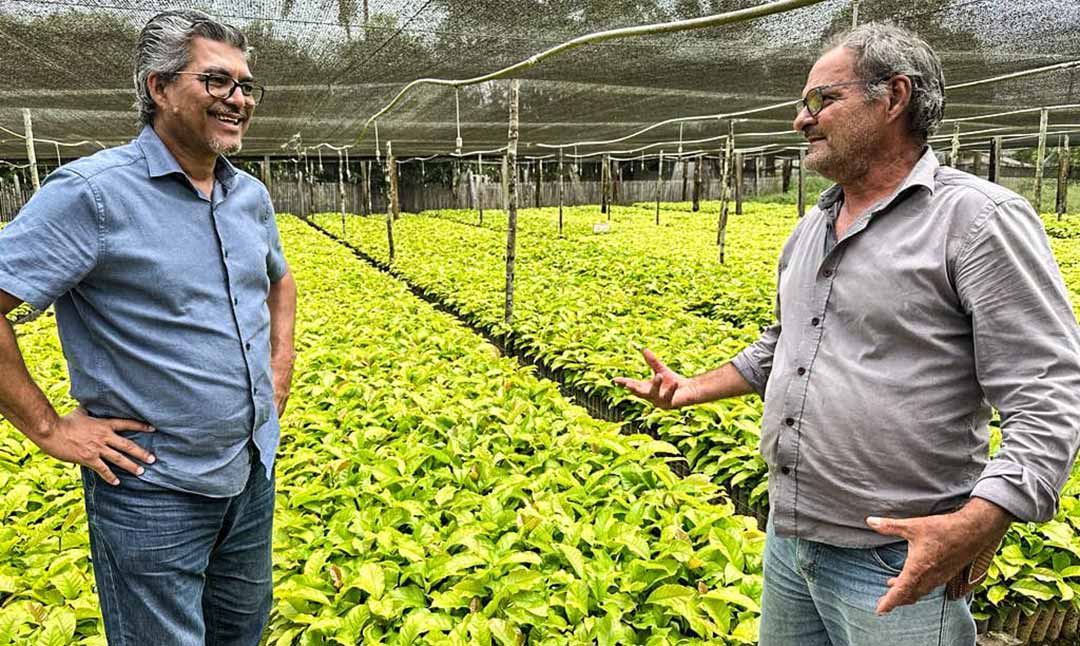 Edvaldo Magalhães visita viveiro de mudas de café em Mâncio Lima e destaca potencial da cafeicultura no Acre