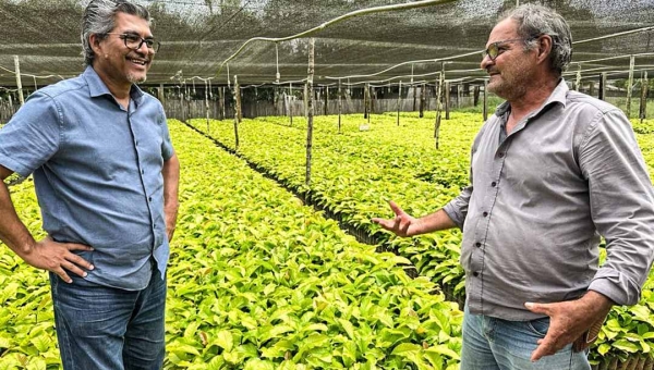 Edvaldo Magalhães visita viveiro de mudas de café em Mâncio Lima e destaca potencial da cafeicultura no Acre