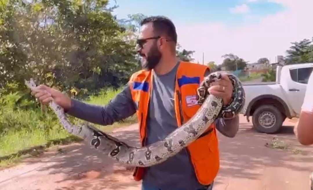 Cobra jibóia é capturada na travessa Éden, no bairro Seis de Agosto em Rio Branco 